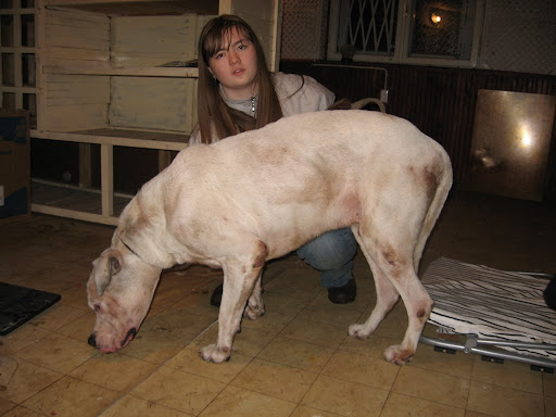 Mingo